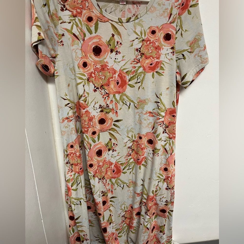 Beautiful Lularoe Jessie Dress
